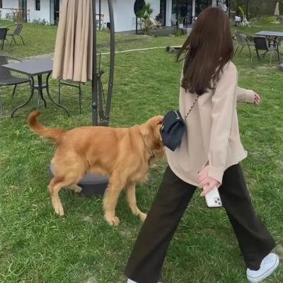 无限风暴