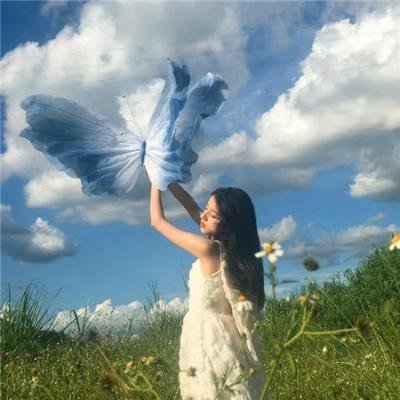 夺宝寻龙:北冥鲲宫